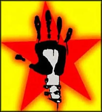 Quel chanteur a fait partie de la Mano Negra avant de faire une carrière solo ?