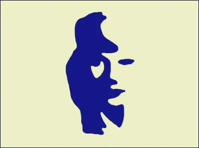 Que peut-on voir sur cette image ?