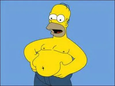 Homer est-il gros ?