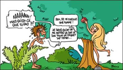 Il est très difficile, voir impossible, de trouver une personne en état « d' impeccance ».
Que signifie le mot « impeccance » ?