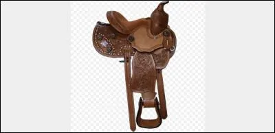 Quelle est cette selle :