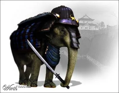 A quel film peut vous faire penser cette photo ?