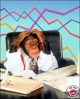 A quel film peut vous faire penser cette photo ?