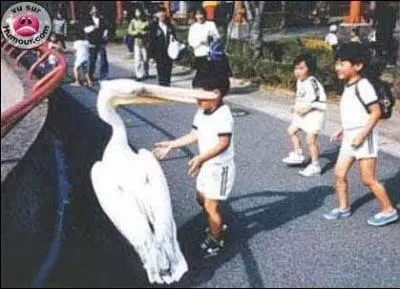 A quel  film peut vous faire penser cette photo ?