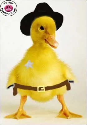 A quel film peut vous faire penser cette photo ?