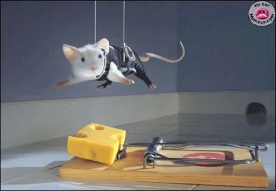 A quel film peut vous faire penser ces photos ?