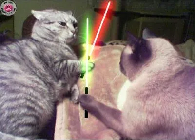 A quel film peut vous faire penser cette photo ?