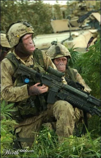 A quel film peut vous faire penser cette photo ?