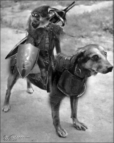 A quel film peut vous faire penser cette photo ?