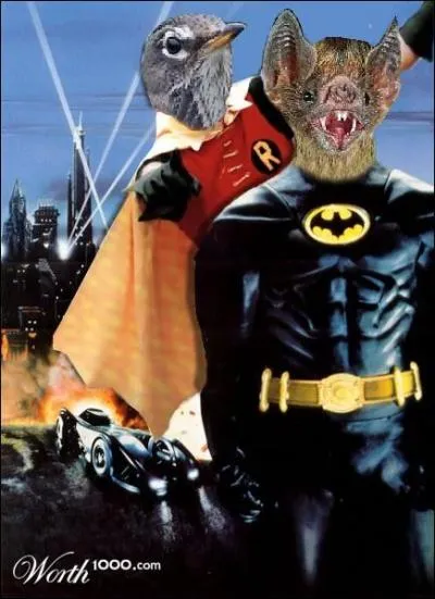 A quel film peut vous faire penser cette photo ?