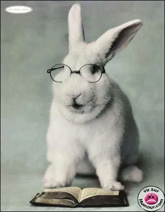 A quel film peut vous faire penser cette photo ?