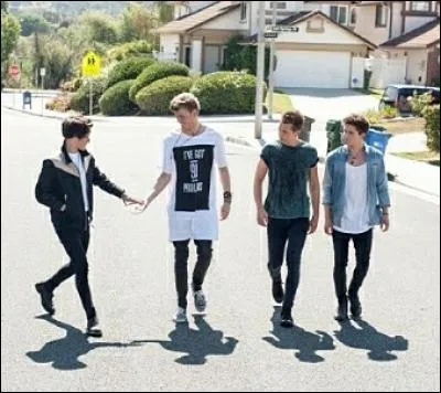 Le premier single du nouvel album de The Vamps qui porte le même nom s'appelle :