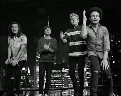 C'est un single du nouvel album de One Direction, comment s'appelle cette chanson ?