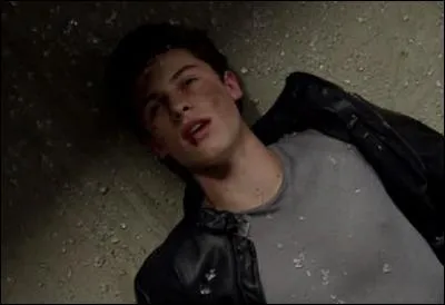 Interprétée par un des plus jeunes chanteurs du moment, cette chanson devient de plus en plus connue :