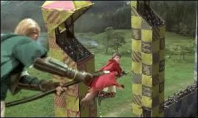 Qui a empêché Harry et Ron de se rendre sur la voie 9 3/4 et a ensorcelé un Cognard ?