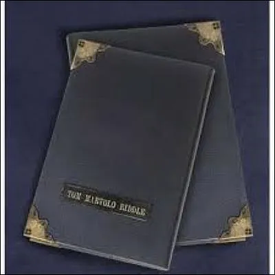 A qui appartient le journal intime que Harry a trouvé dans les toilettes de Mimi Geignarde ?