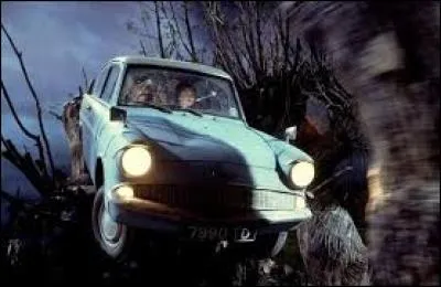 N'arrivant pas à se rendre sur la voie 9 3/4, Harry et Ron se rendent à l'école en voiture volante. Dans quel arbre s'écrasent-ils en atterrissant ?