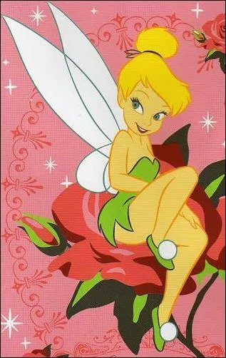 Comment s'appelle cette fe?