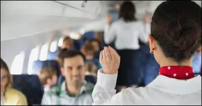 Ils sont à nos côtés durant un vol, nous accueillent, nous distribuent à manger et à boire et veillent à notre confort. What is this job ?