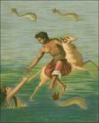 Comment s'appelle ce bélier ailé dont la fourrure constituera la Toison d'or ?