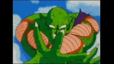 Qui est ce Namek combattant, fils d'un maléfique démon ?