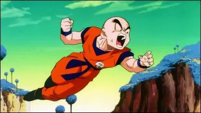 Comment s'appelle ce terrien qui est le meilleur ami du héros ?