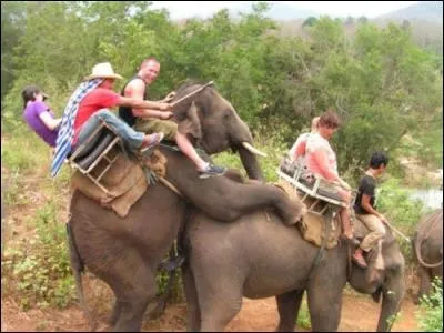 Trouve le mot qui correspond à la photo !