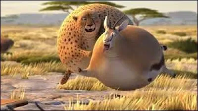 Comme tu vois, les animaux de la savane ont des problèmes de digestion, qui sont-ils ?