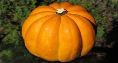 Regarde la photo, et trouve le nom du personnage de conte !