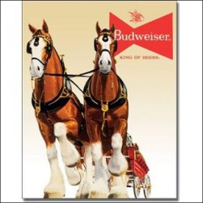 Comment se nomme cette race, symbole de la compagnie de bière Budweiser ?