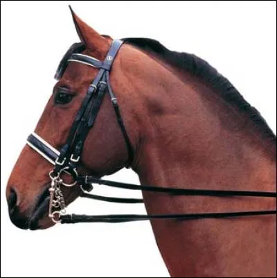 Comment se nomme cet équipement ?