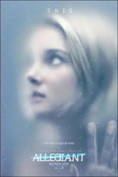 Qui aide Tris et les autres à retourner à Chicago en leur donnant des armes ?