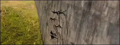 Qui part pour "au-delà du mur" ?