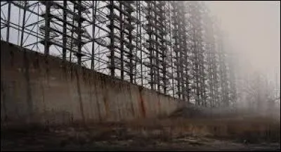 Qui se fait électrocuter par les fils ?