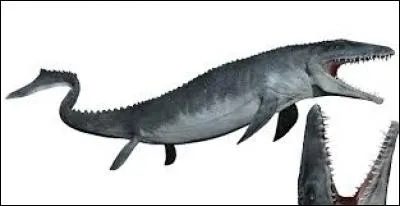 Quel est ce dinosaure ?