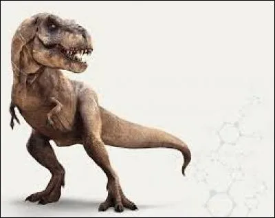 Quel est ce dinosaure ?