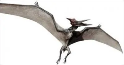 Quel est ce dinosaure ?