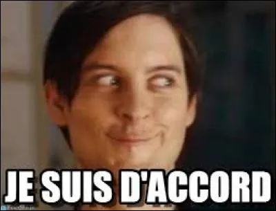 Je suis d'accord, et toi, "_____"-tu ?
