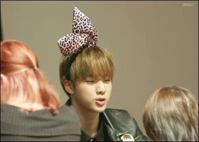 Quel est le nom de famille de SeokJin ?