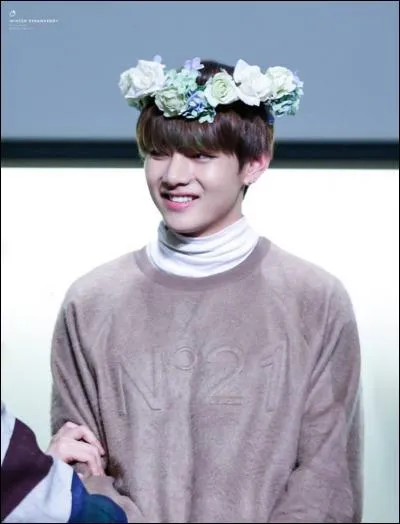 Lequel des trois n'est pas le surnom de TaeHyung ?