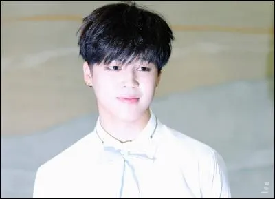 Quel est le surnom de JiMin ?