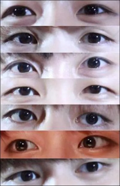 Que se passe-t-il le mardi 8 mars 2016 ?