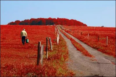 Né un 10 mars, il a écrit "L'herbe rouge" :