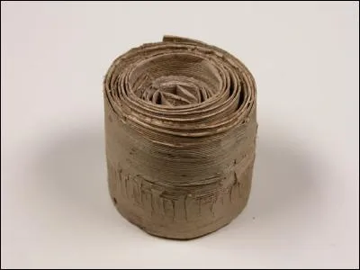 Ce bijou en pandanus provient des îles Santa Cruz, mais comment se porte-t-il ?