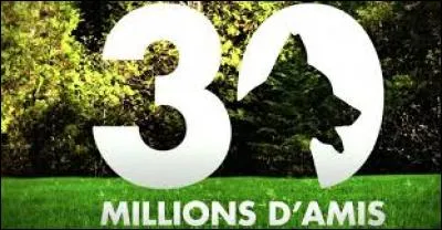 Quelle race de chien est la mascotte de l'émission "30 millions d'amis" ?