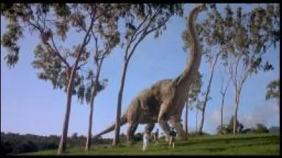 Quel est ce dinosaure ?