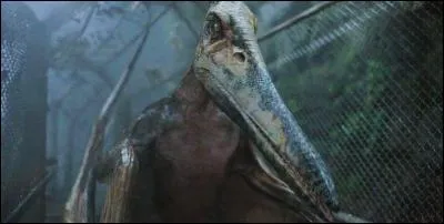 Quel est ce dinosaure ?