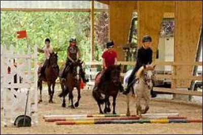 Marie est au trot à main droite, Paul évolue au trot à main gauche, qui a la priorité ?