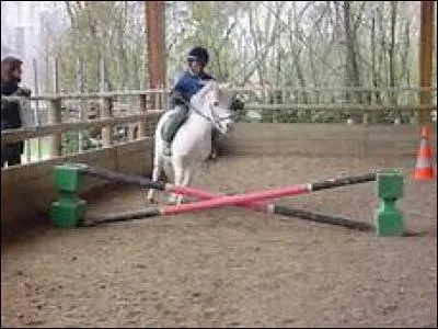 Combien la FFE propose-t-elle de disciplines en compétition ?