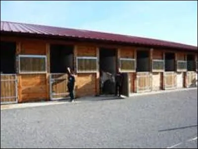 Quelle figure de manège n'existe pas ?